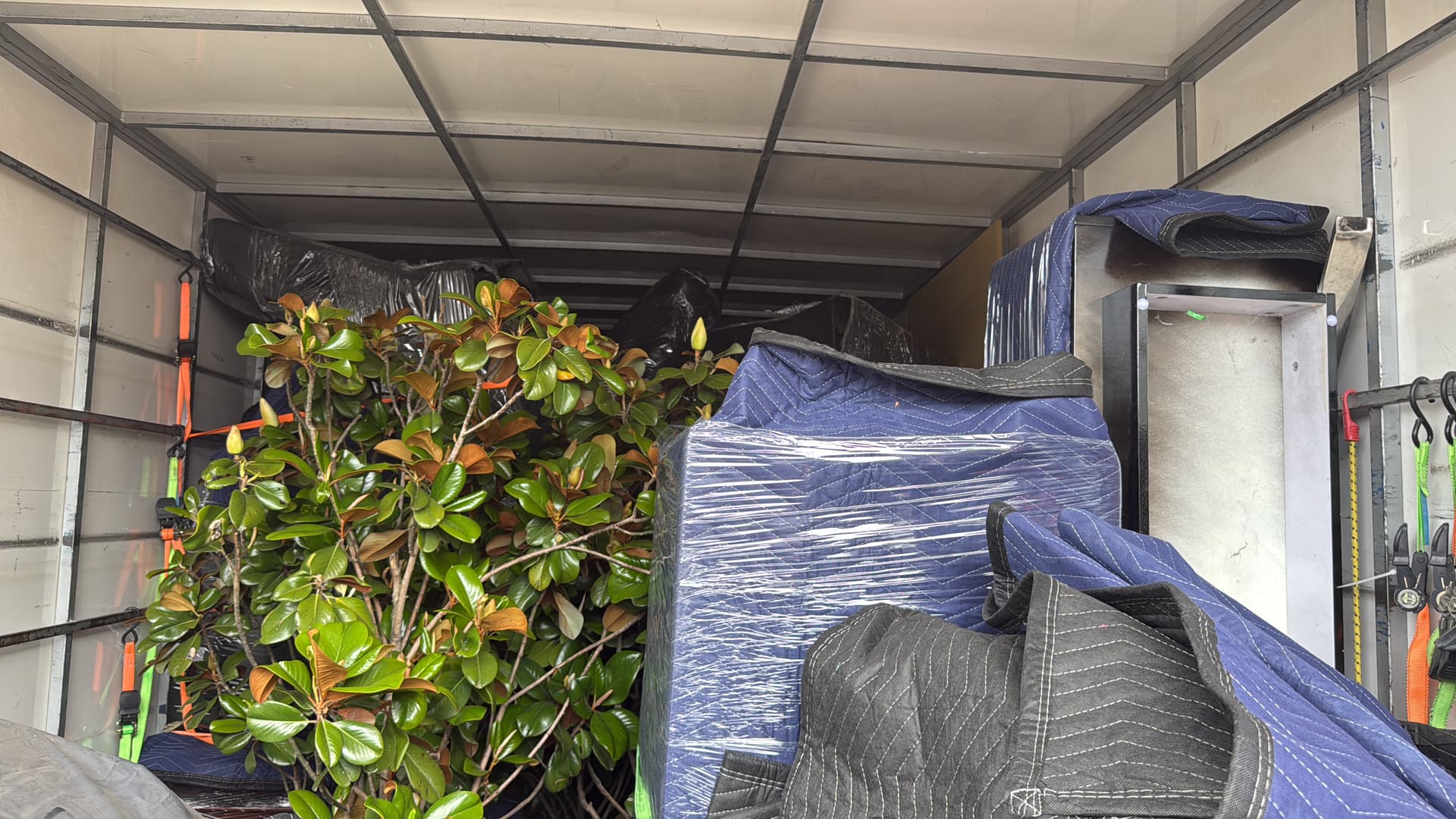 Local Removalists Perth Residents Trust